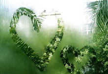 黄蜂，险胜，爵士！